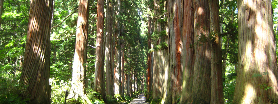 �������� �ͱ����һ��ҥĥ���